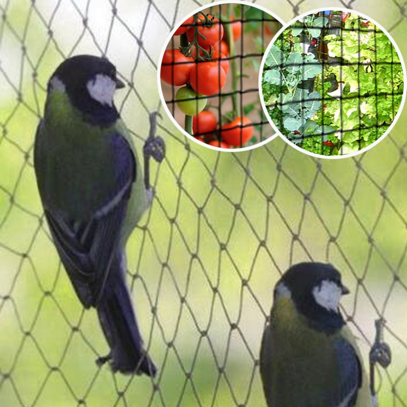 Filet de protection anti-oiseaux coloris noir 2x10 m : Protection