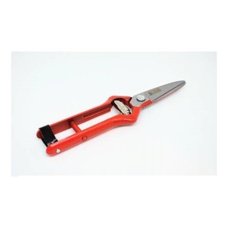 vintage nail grapes basket scissors blofer economico
