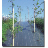 ground floor polypropylene anti artificial artificial synthetic