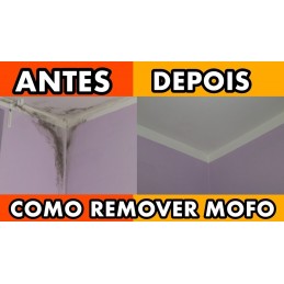 desmof antimuffa stampo blofer più economico efficace piastrelle di pulizia