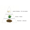 profumo femminile L'ATELIER 45 larome paris yodeyma yodeyma sephora