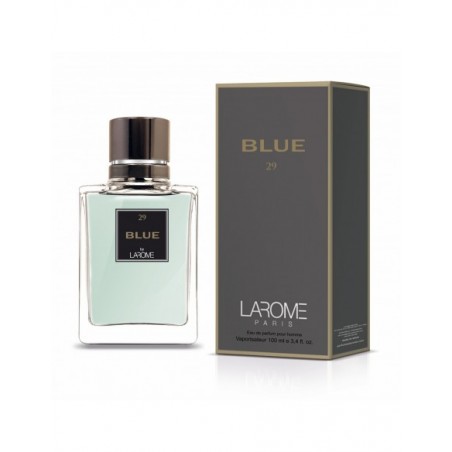 Perfume Masculino 100ml - BLUE 29