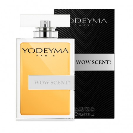 Men's Perfume 100ml - WOW SCENT