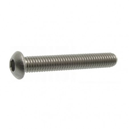 Umbrako M8 x 70 stainless steel screw