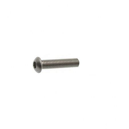 Umbrako stainless steel screw M10 x 40