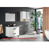 baño móvil inodoro blofer artículos sanitarios moderno barato