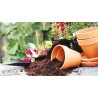earth pots orchids plants blofer cheapest fertilizer earth pots orchids plants blofer cheapest fertilizer