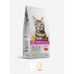 Nourriture pour chats...