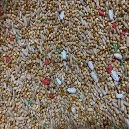 Mélange de Perruches 0.700kg