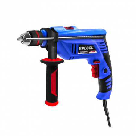 Electric Drill 600W Ref: BBQ600Pro Powertools - Pecol + Offer 19 Drills HSS Din 338