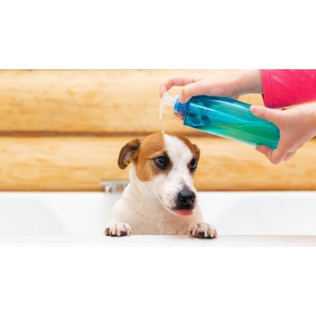 shampoo para/benidow perros