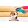 champo coleira animais blofer cao ração animal barato economico