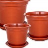 floreira blofer prato terra flores erva aromática agricultura vaso