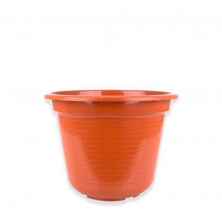copy of Plastic Vase Nº20 T/ Bell